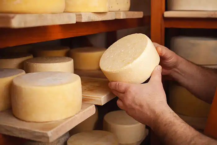 Italy Pecorino Cheese