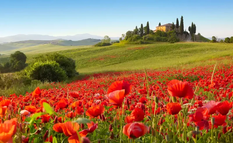 Spring In Italy: Celebrate Food, Flavors and Regional Festivities