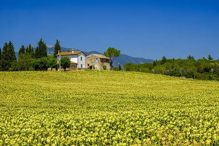 Tuscany Homes
