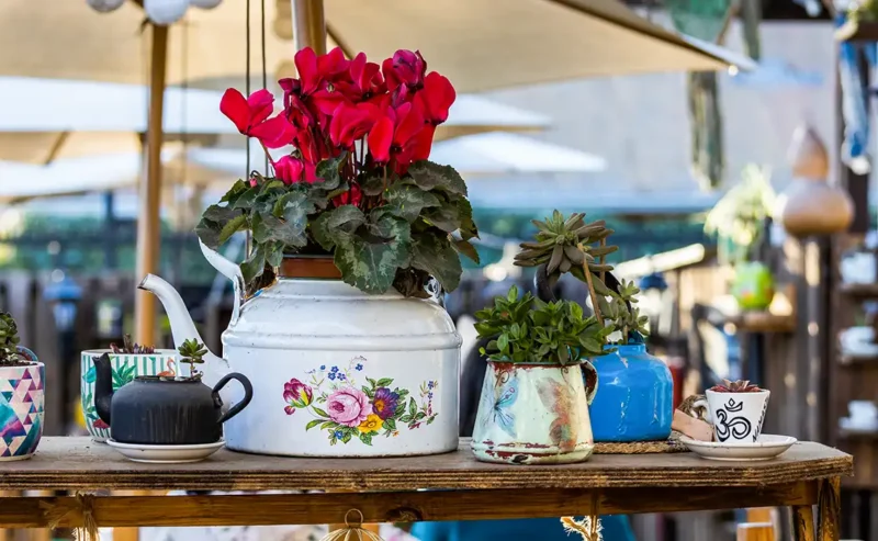 The Enduring Allure of Vintage Design: Italy and the US