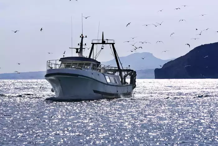 Fishing boat with seagulls in flight