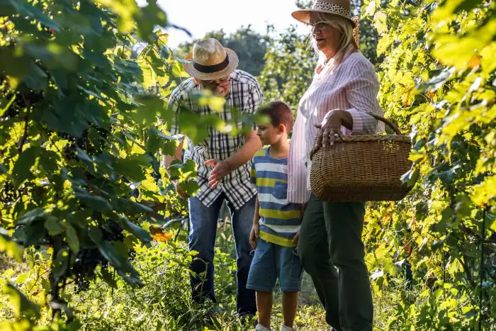 Grandparents with the grandson