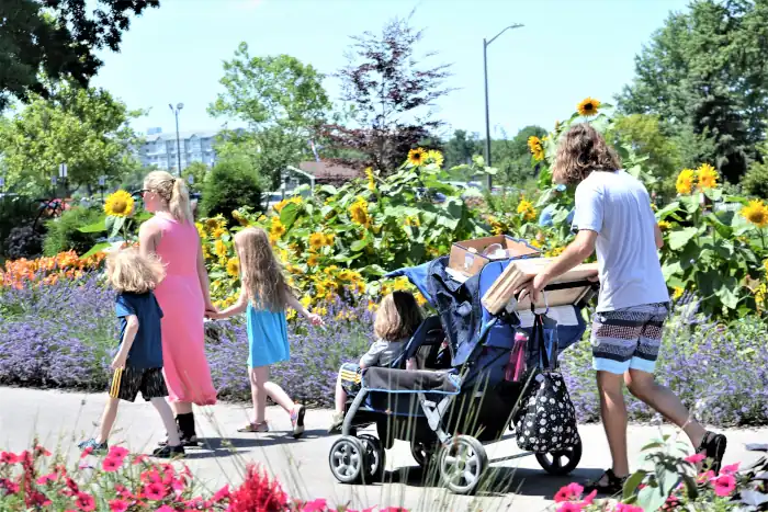 Summer family walk