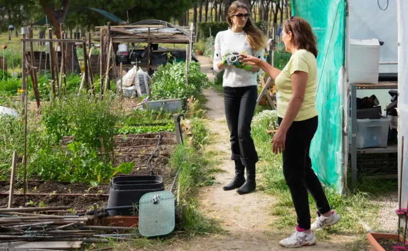 The Joy of Village Life Habits in Italy