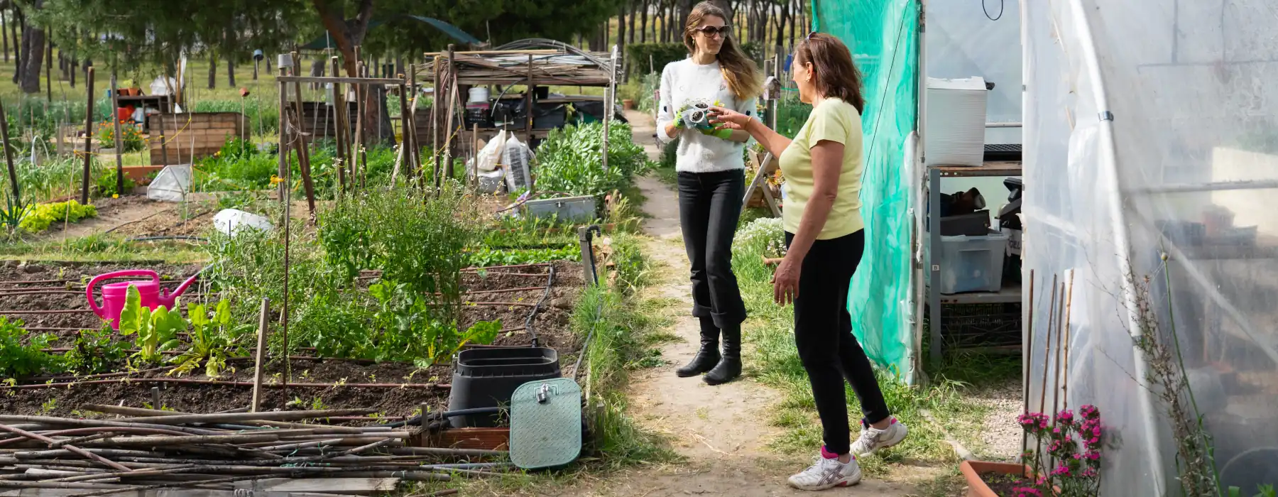 Village life habits women exchanging vegetables