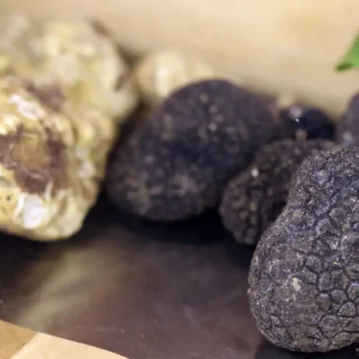 Discover Italy’s Fall Traditions Everyday Rituals That Capture the Heart of Autumn