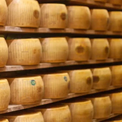 November Cheese Season in Italy Mountains, Milk, and New Life Parmigiano wheels