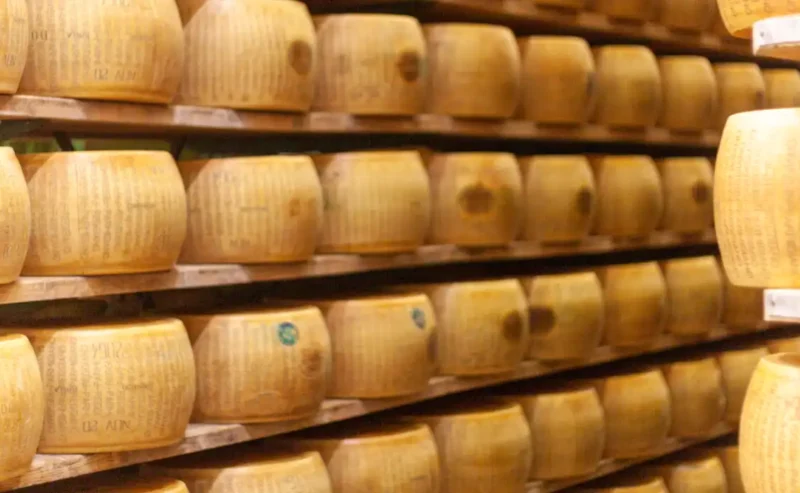 November Cheese Season in Italy: Mountains, Milk, and New Life