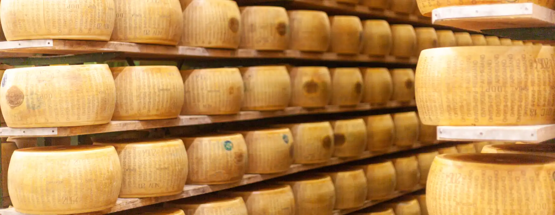 November Cheese Season in Italy Mountains, Milk, and New Life Parmigiano wheels