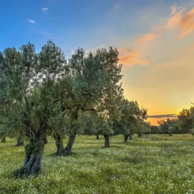The Heartwarming Magic of Italy’s Fall Traditions