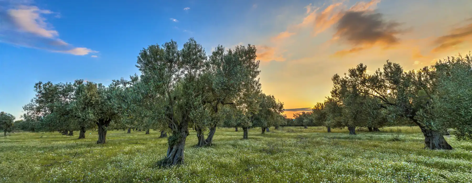 The Heartwarming Magic of Italy’s Fall Traditions