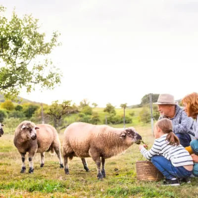 The Joy of Italy’s November Cheese Season