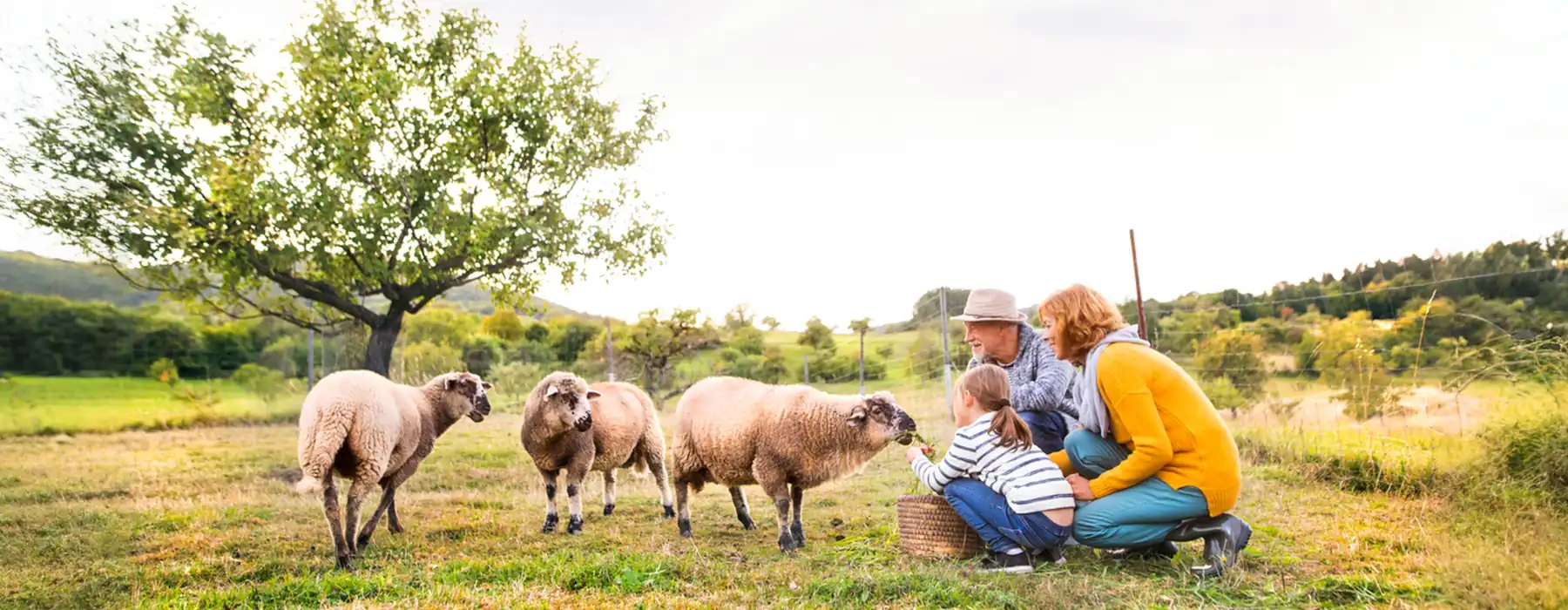 The Joy of Italy’s November Cheese Season 2 The Joy of Italy’s November Cheese Season