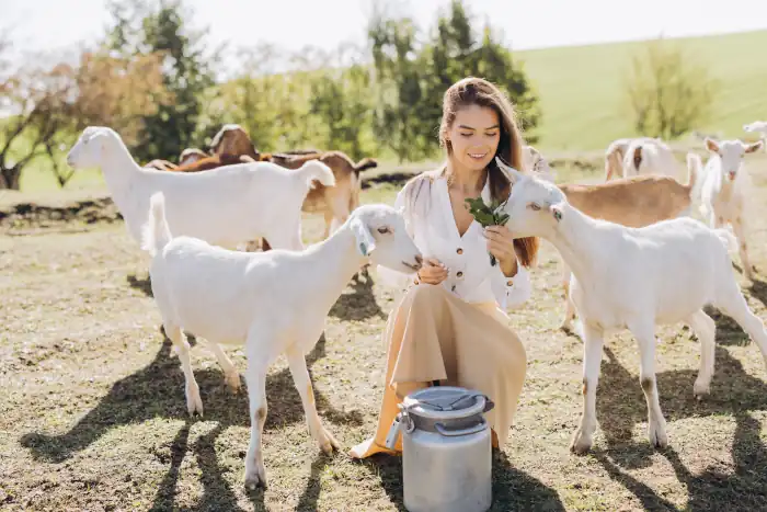 Italy’s November Cheese Season: When Nature Slows and Flavors Deepen 7 Woman with goats