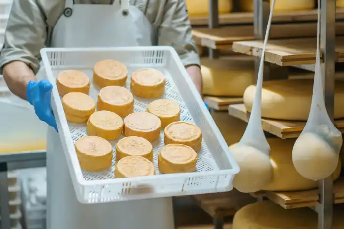 cheese maker holding crate of fresh cheese