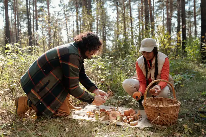 Discover Italy’s Fall Traditions: Everyday Rituals That Capture the Heart of Autumn 7 husband and wife checking mushrooms