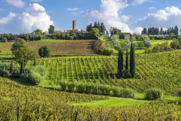 Discover Italy’s Fall Traditions: Everyday Rituals That Capture the Heart of Autumn 8 landscape in chianti vineyard and san michele Tuscany