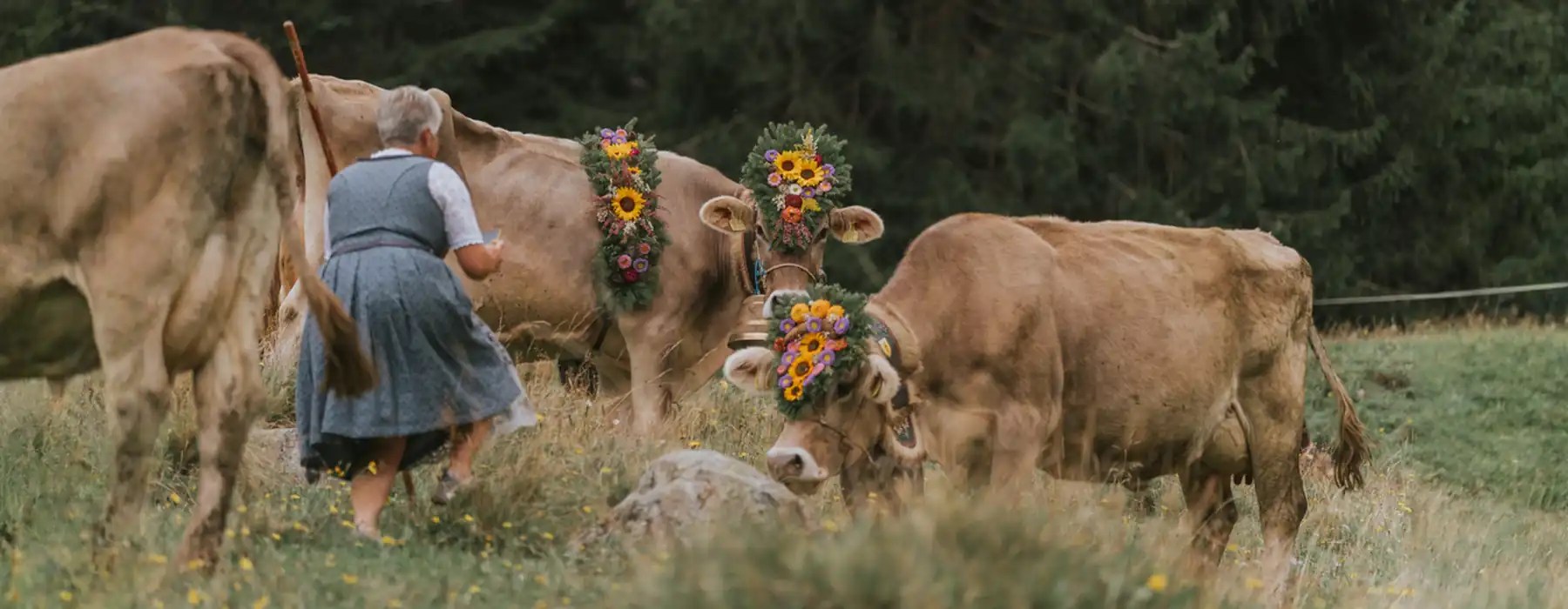 Italy’s November Cheese Season: When Nature Slows and Flavors Deepen 2 Italy’s November Cheese Season When Nature Slows and Flavors Deepen
