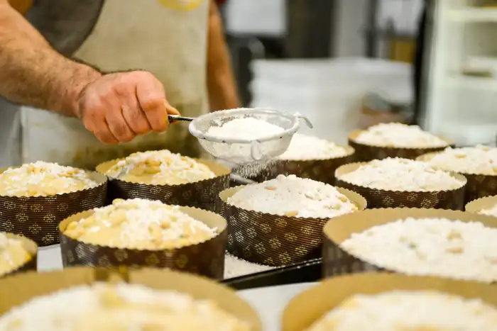 Chef producing panettone while rising dough