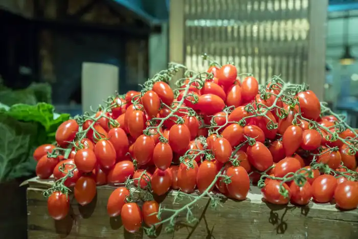 Fresh cherry tomatoes on old wooden table