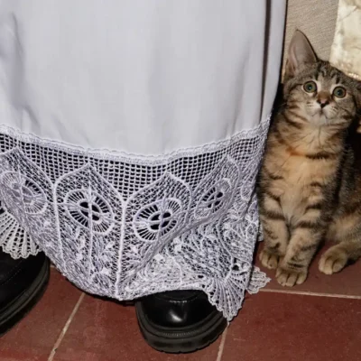 Feast of Sant’Antonio Abate: Italy’s Animal Blessing Day 1 Feast of Sant’Antonio Abate: Italy’s Animal Blessing Day