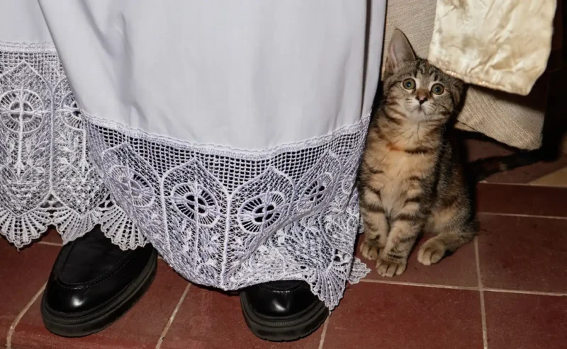 Feast of Sant’Antonio Abate: Italy’s Animal Blessing Day