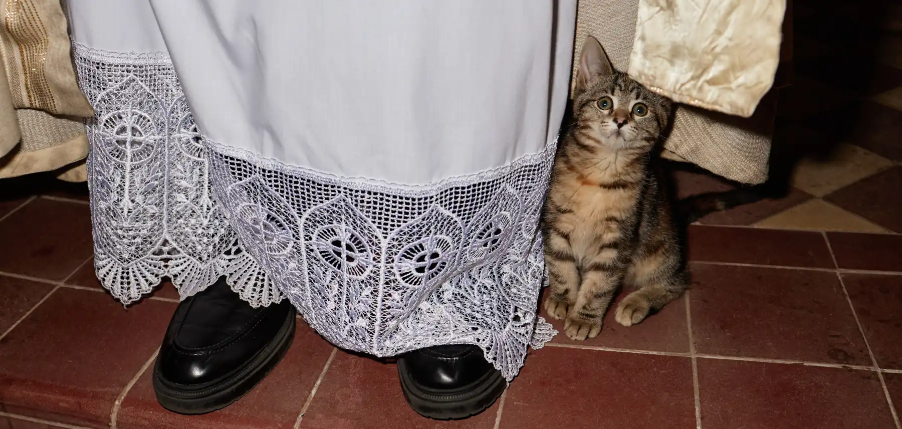Feast of Sant’Antonio Abate: Italy’s Animal Blessing Day 2 Feast of Sant’Antonio Abate Italy’s Animal Blessing Day in church with cat